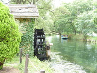 安曇野大王わさび農場にて